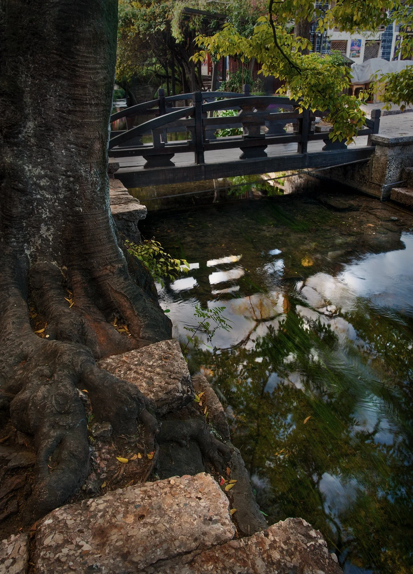 2011_china_lijiang_40.jpg