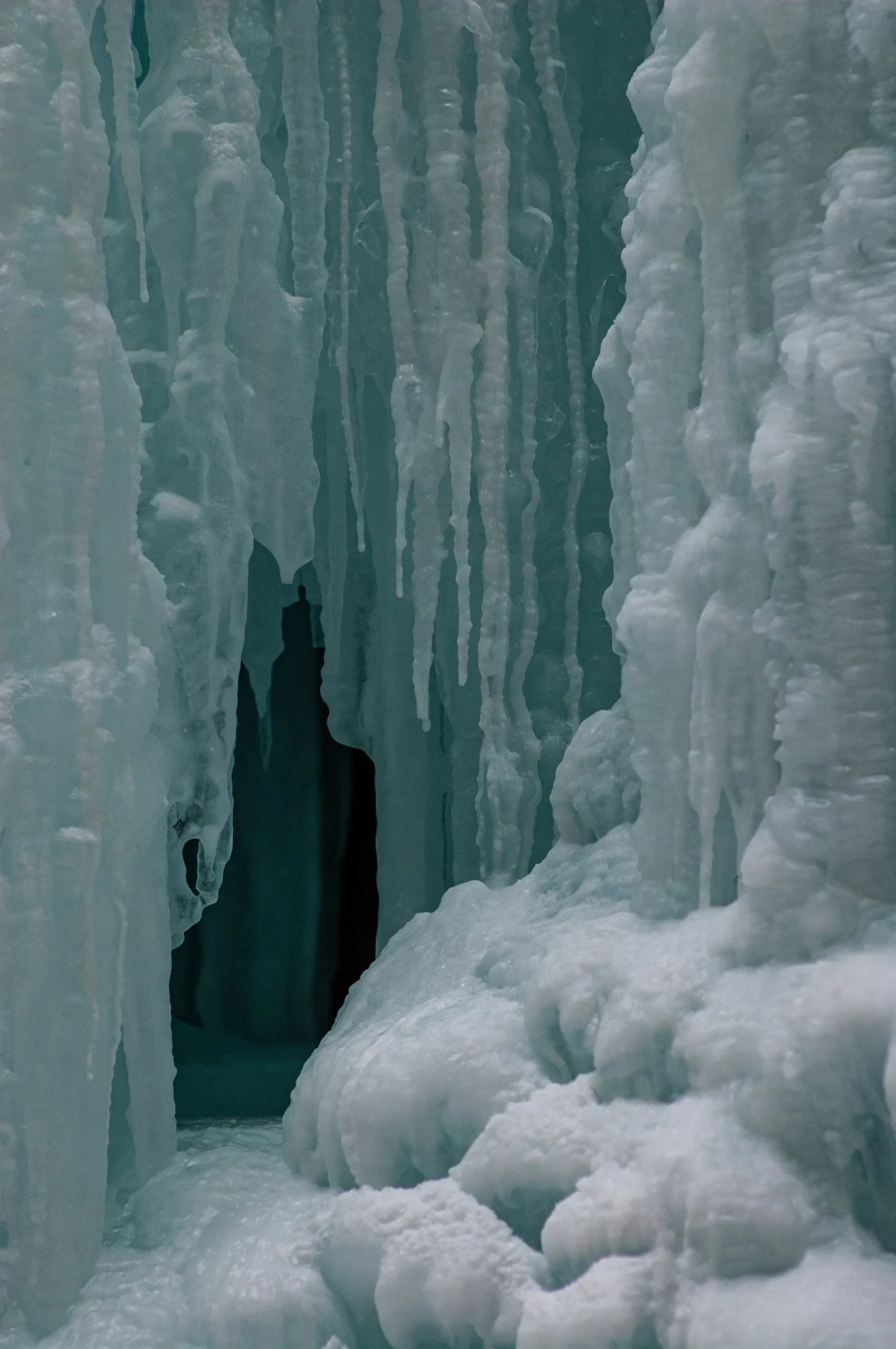 2009_jasper_10.jpg