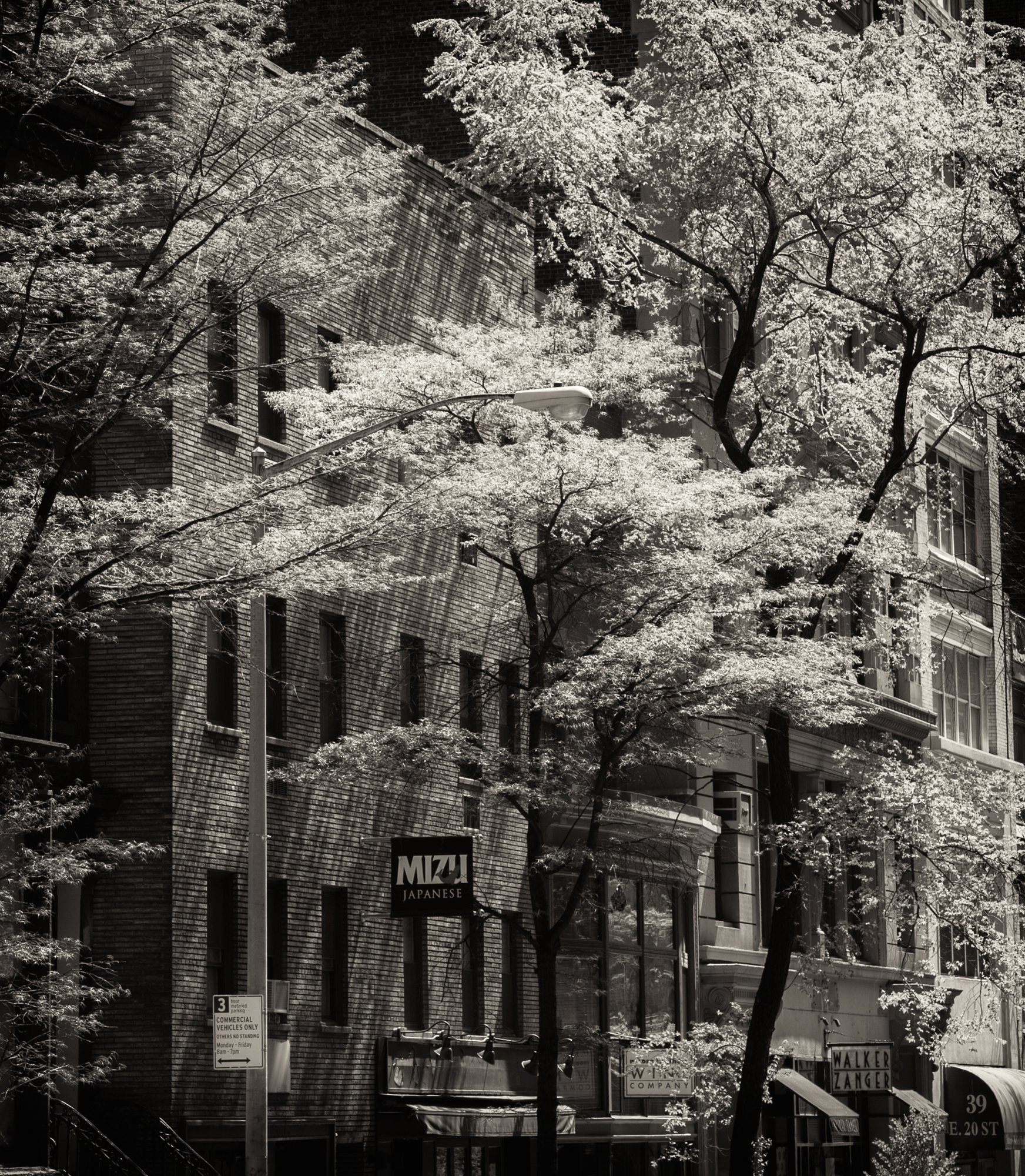Spring in New York.