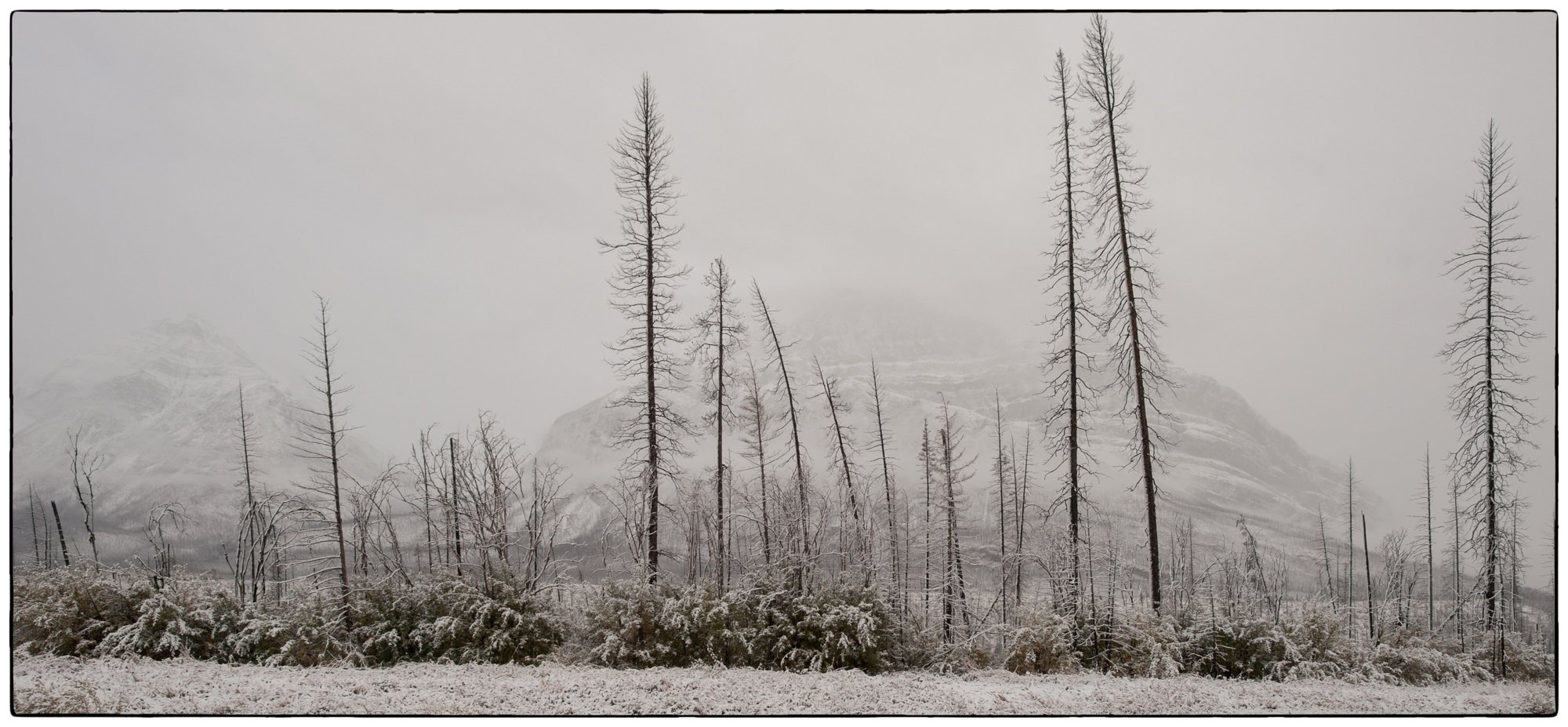 David Thompson Highway in September.