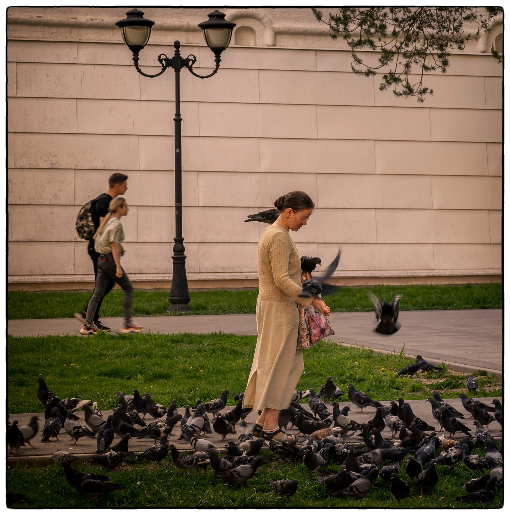 Feeding pigeons by the monastery walls.
