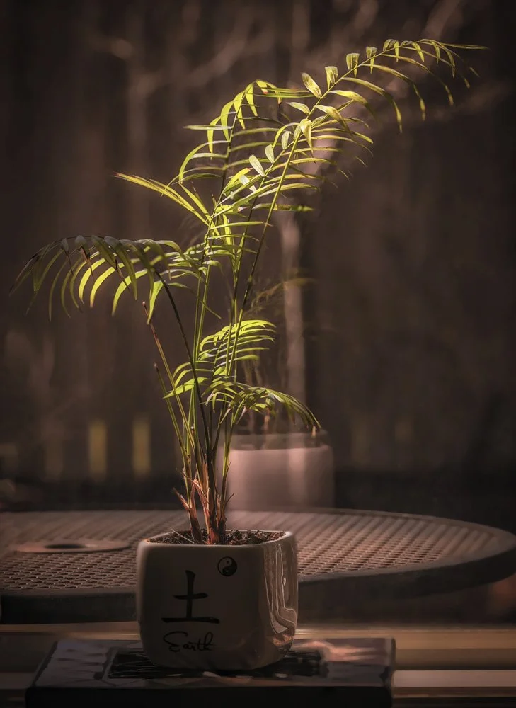  I liked the mood of this, The light was sneaking in so softly.