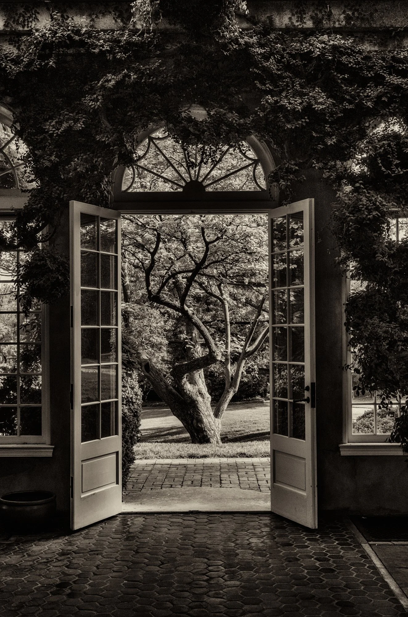Dumbarton Oaks.