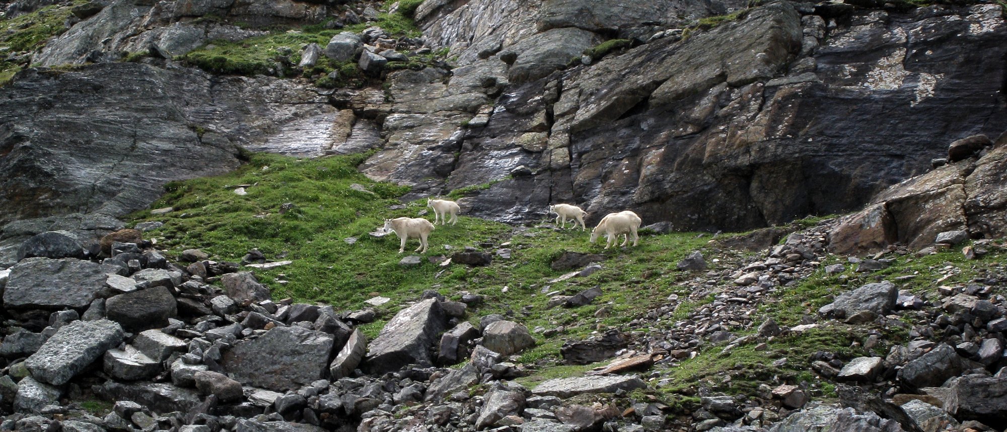 2009_yoho_13.jpg
