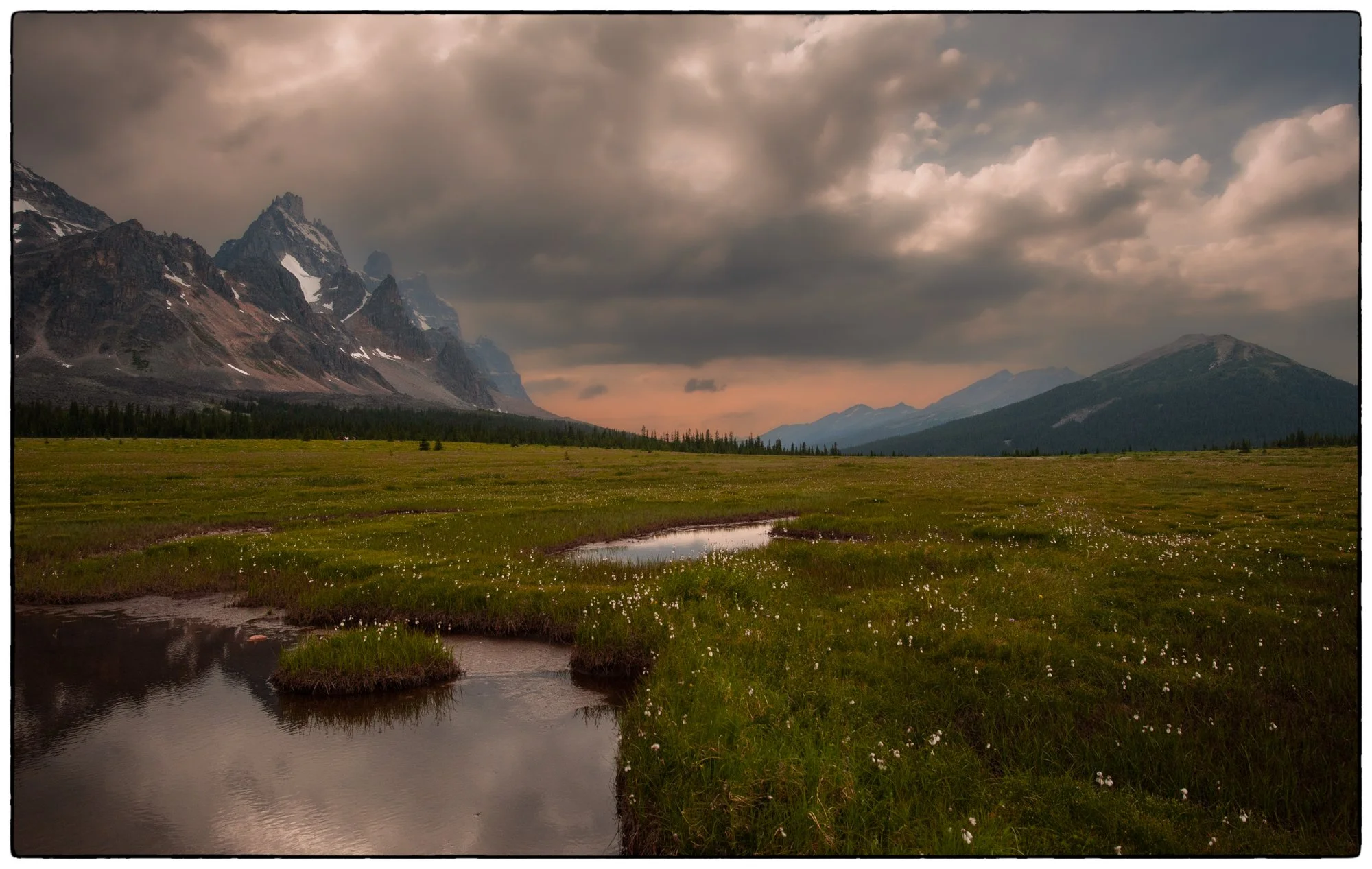 Tonquin Valley.