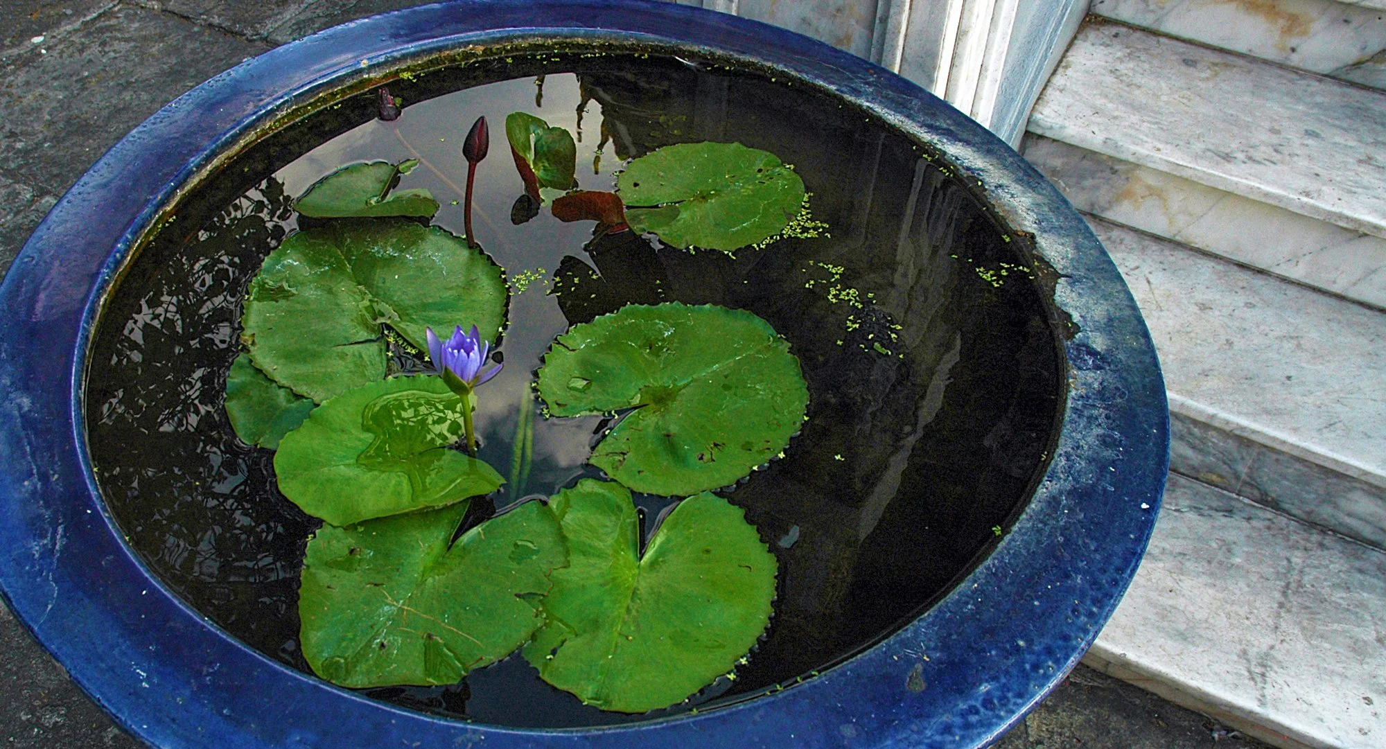 2008_tailand_04.jpg