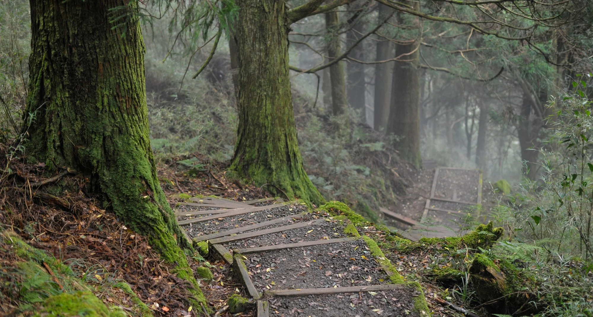 Tefuye Historic Trail.
