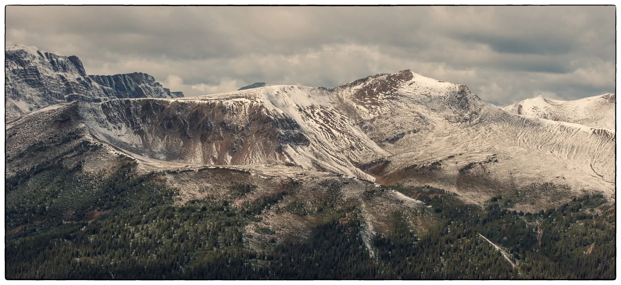 Bold hills hike.