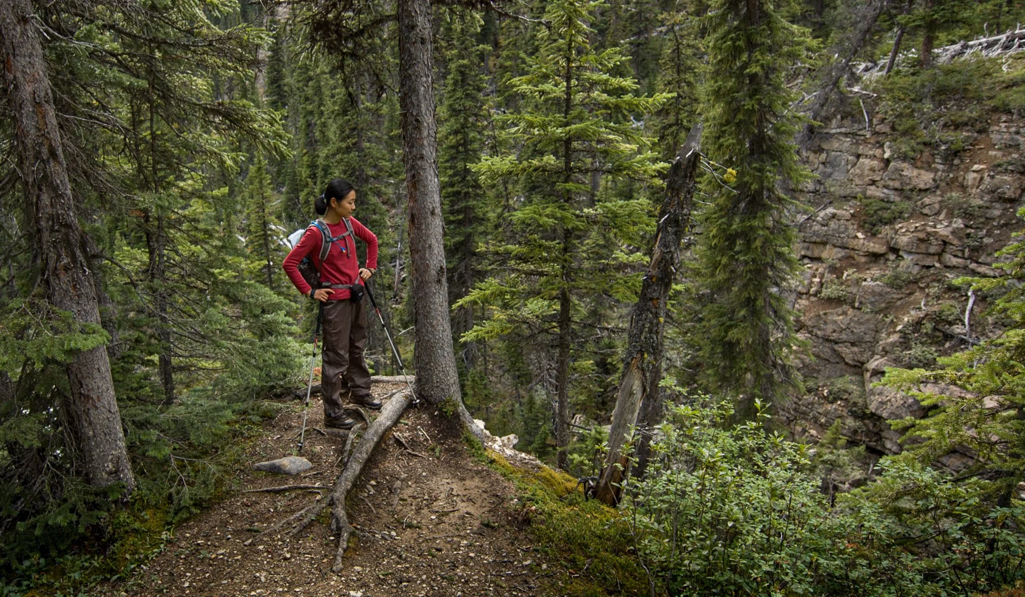2009_yoho_12.jpg