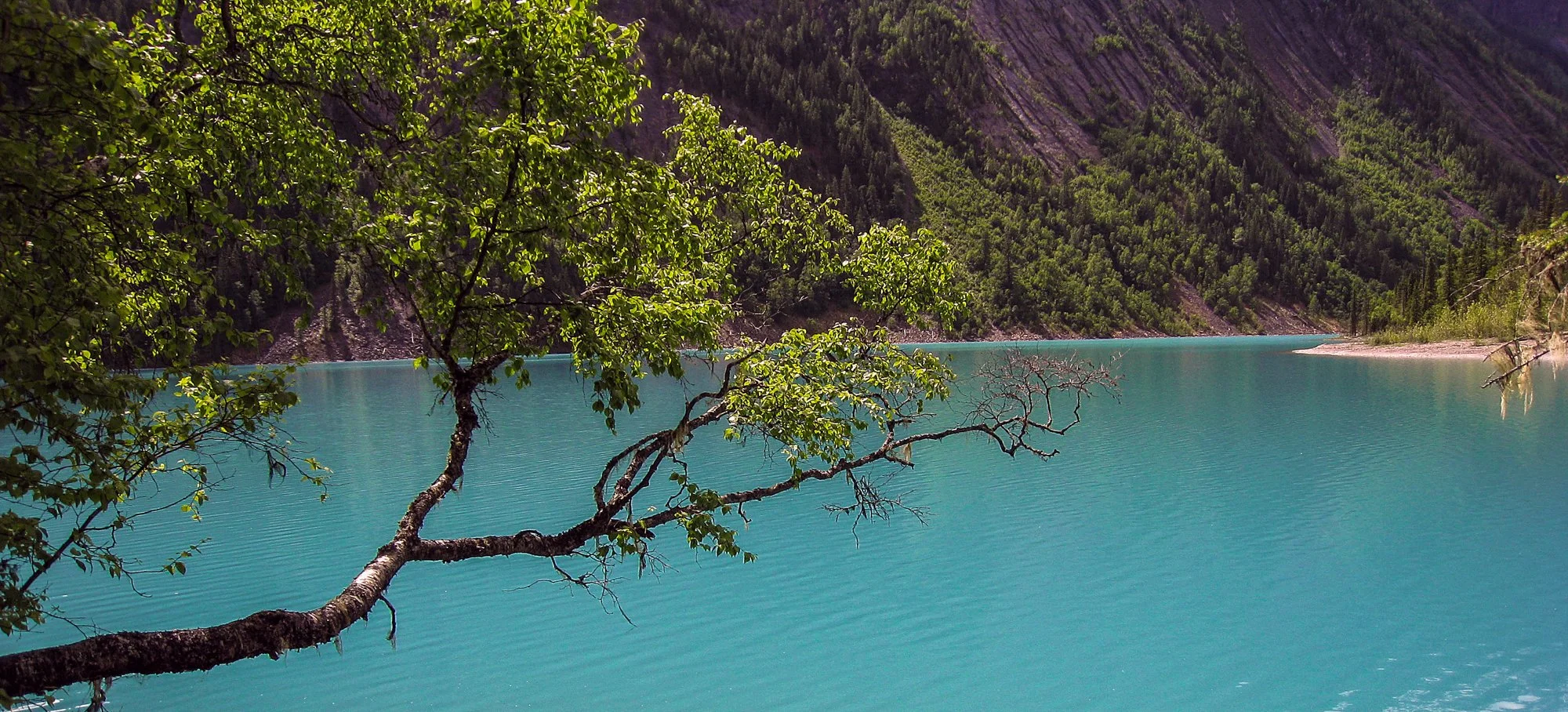2010_berg_lake_27.jpg