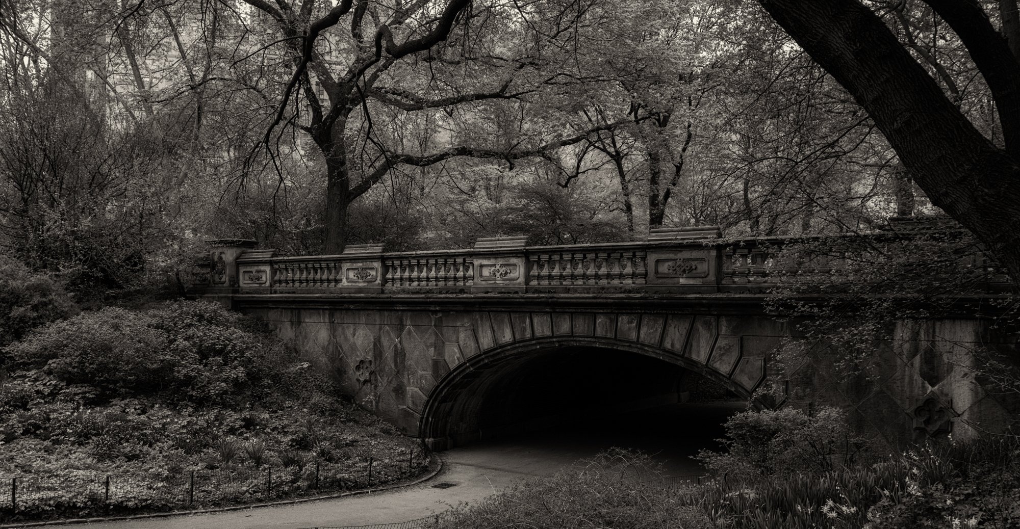 Central Park.
