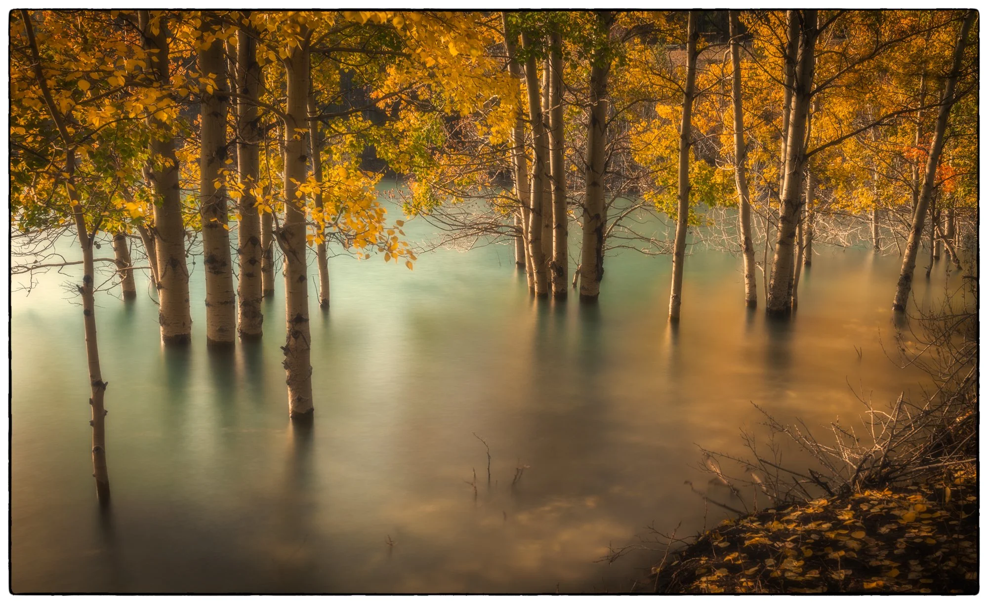 Abraham Lake. In the fall the waters on this lake are very high.