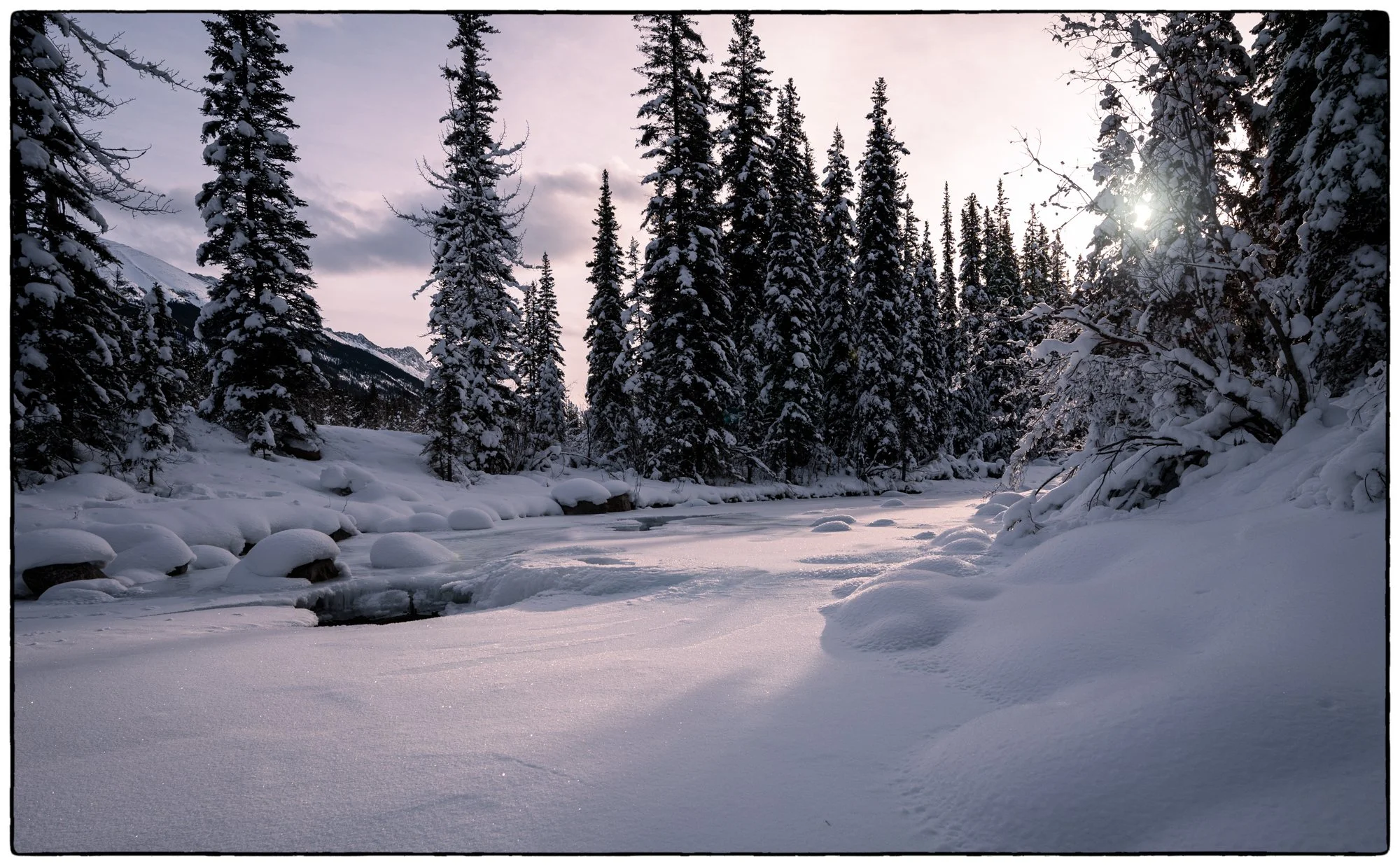 The Maligne Creek. 