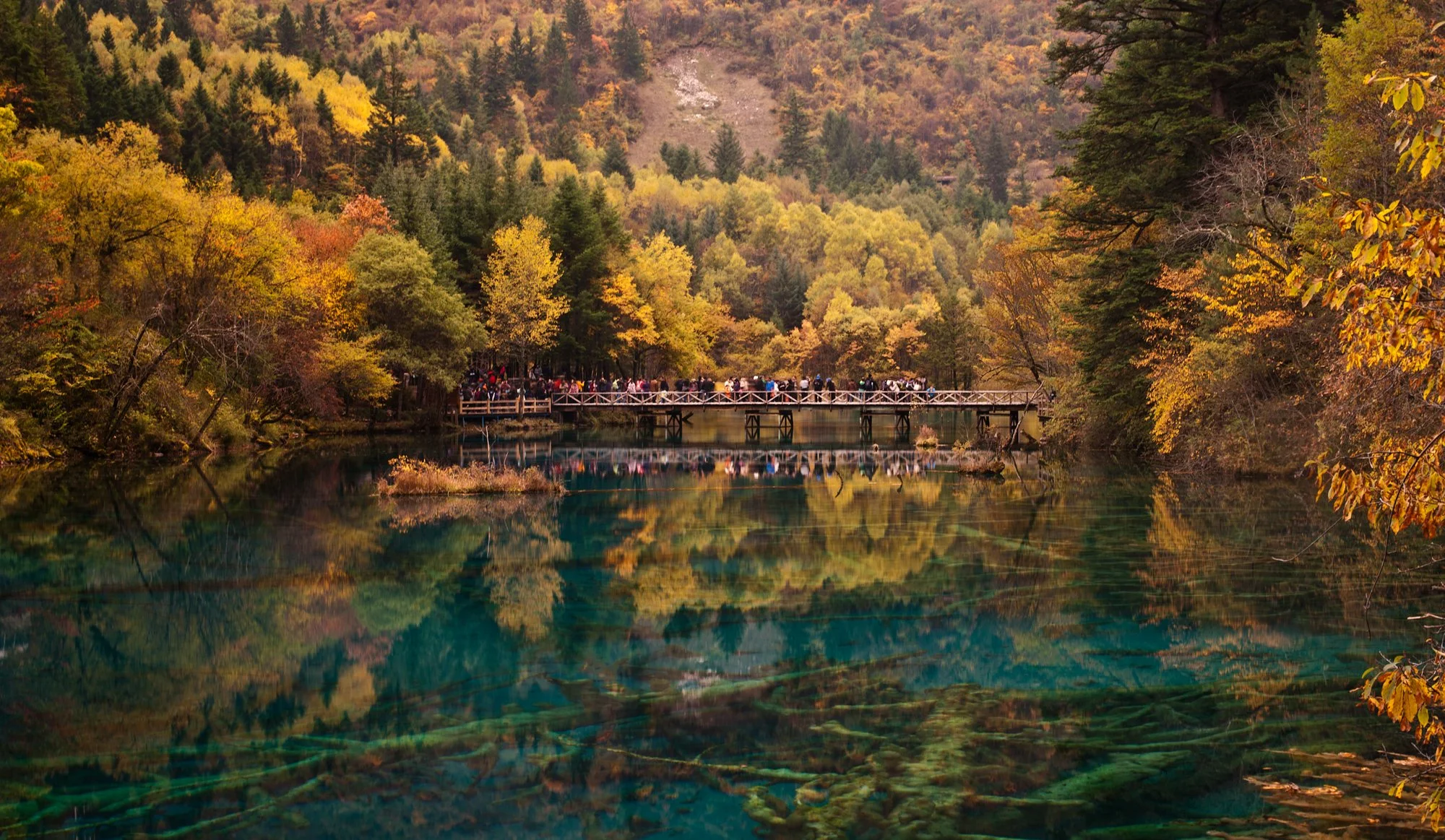 2011_china_jiuzhaigou_13.jpg