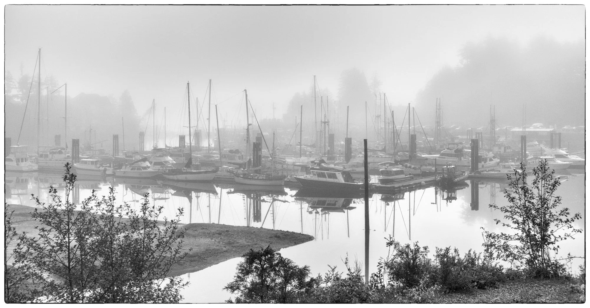 Ucluelet, marina.