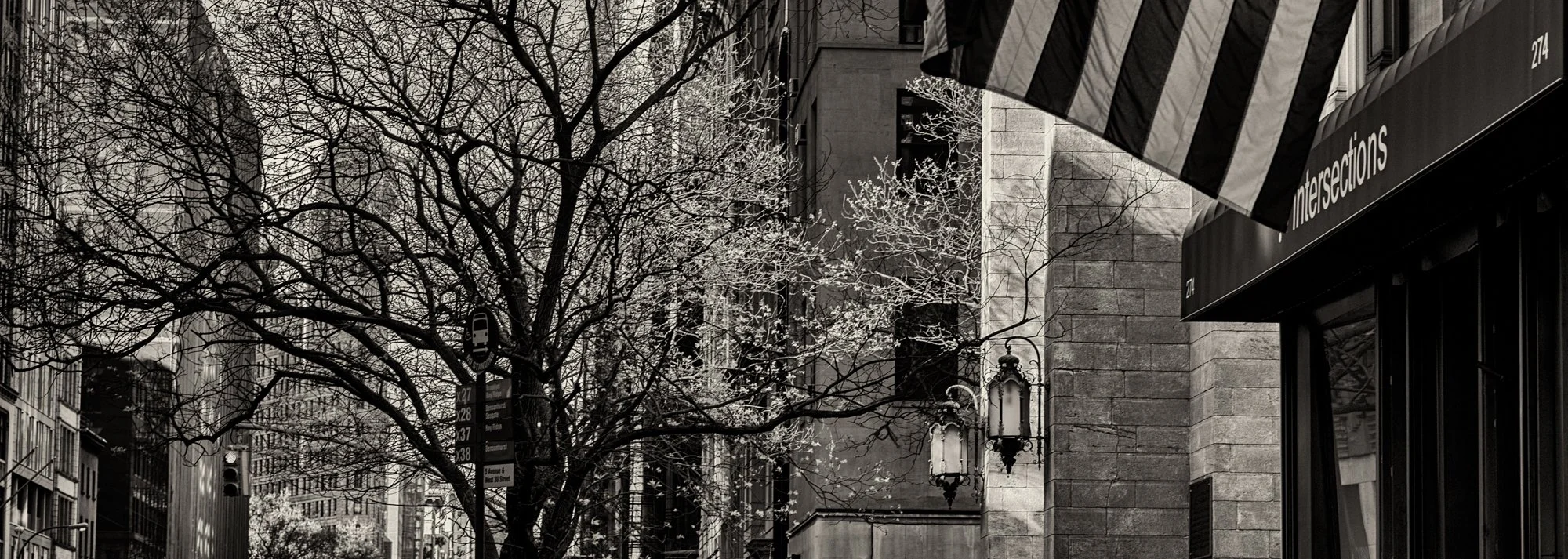 Spring in New York.