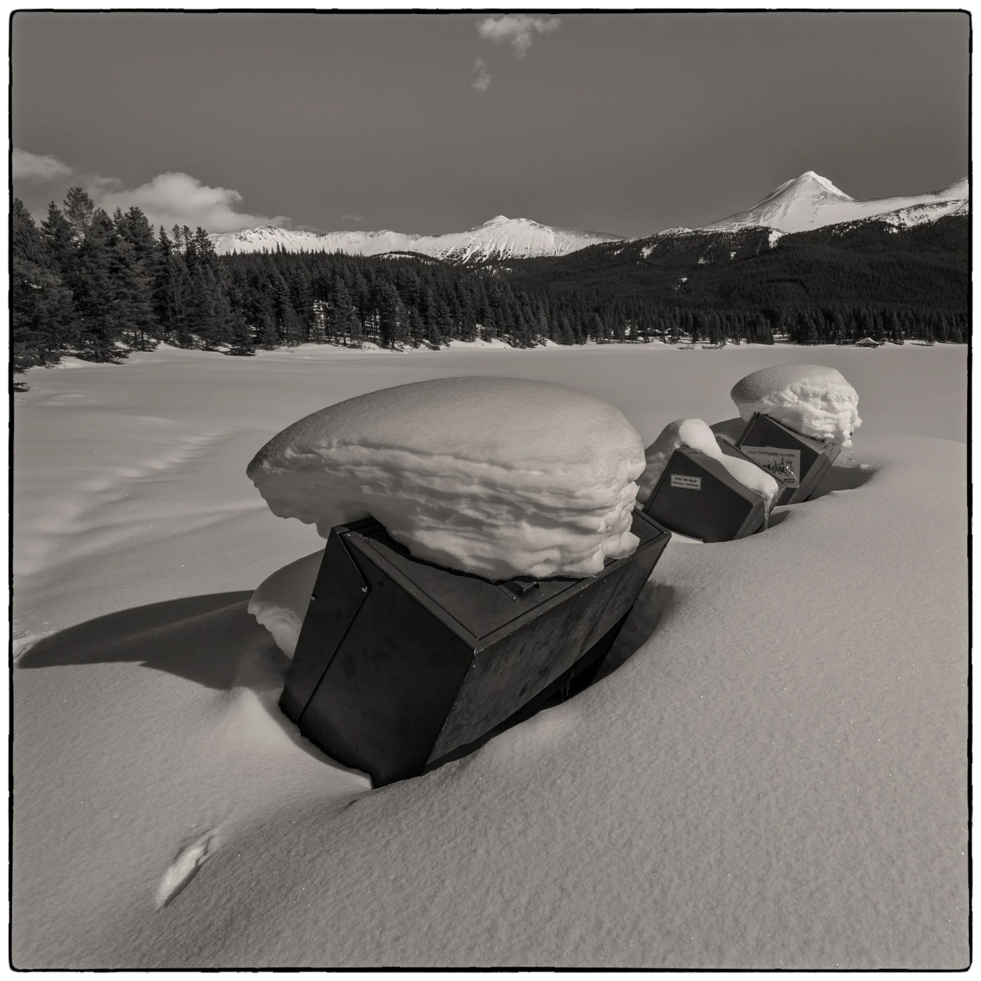 2012_jasper_07.jpg