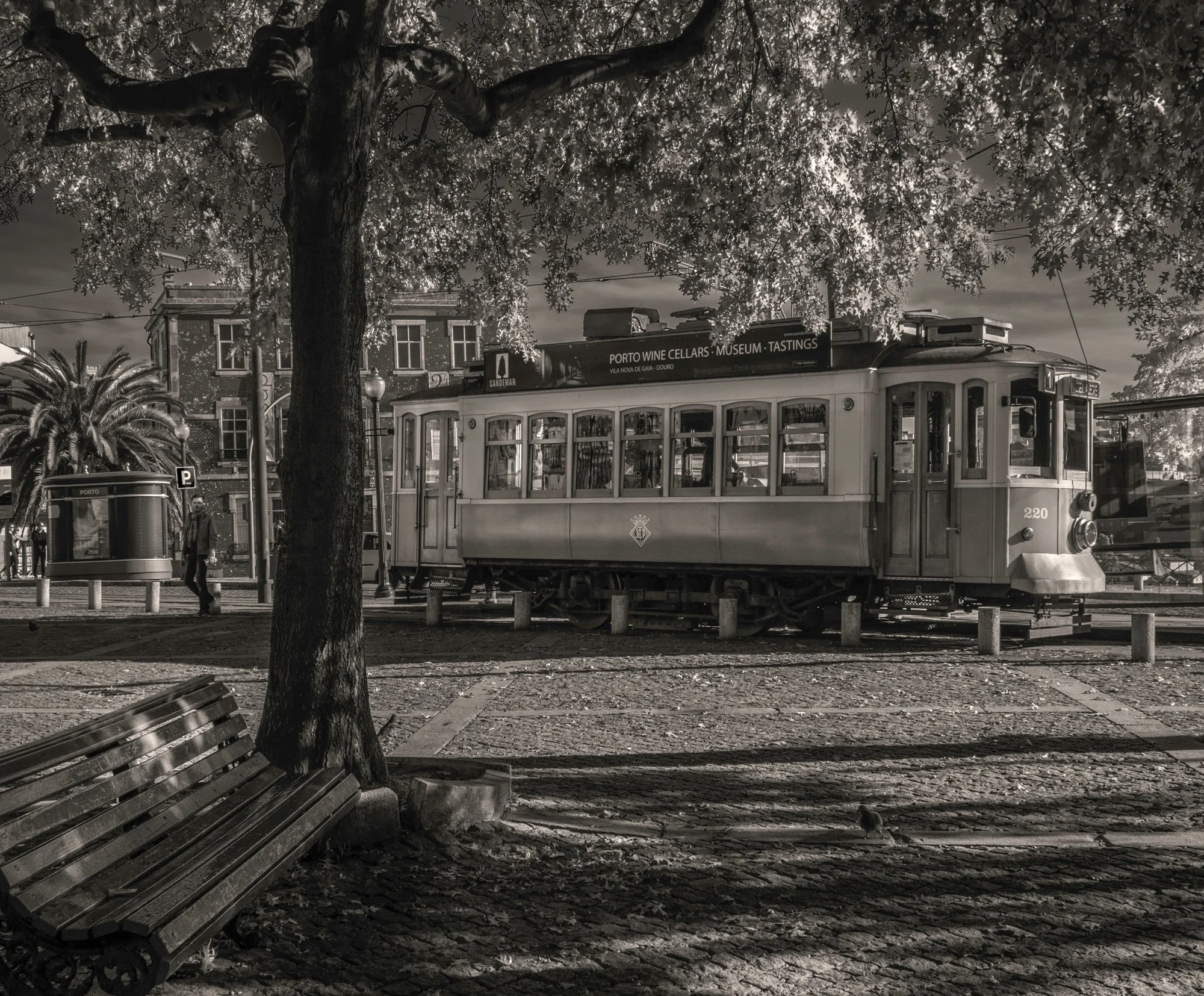 Project_20131031_0021.jpg