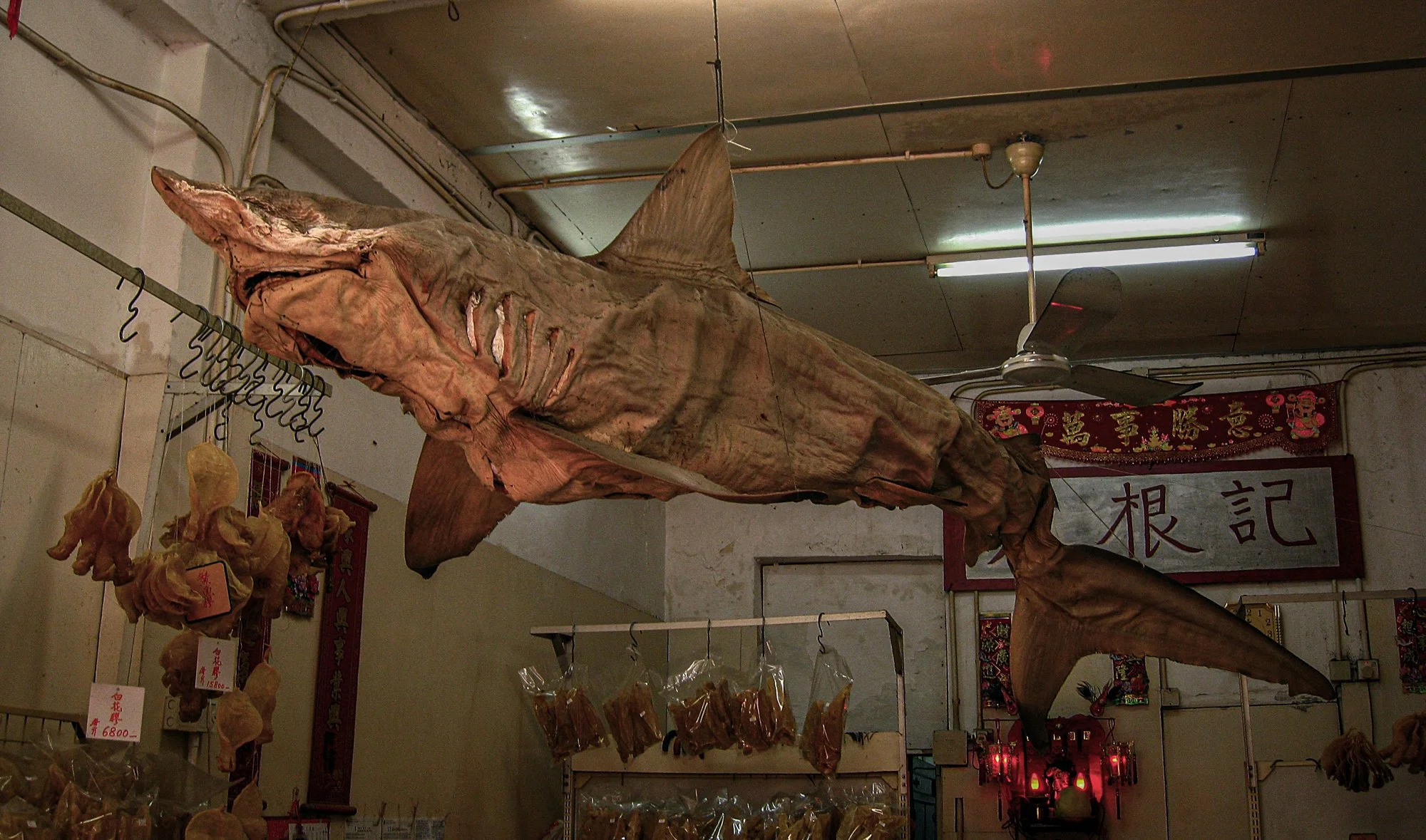 2008_hongkong_09.jpg