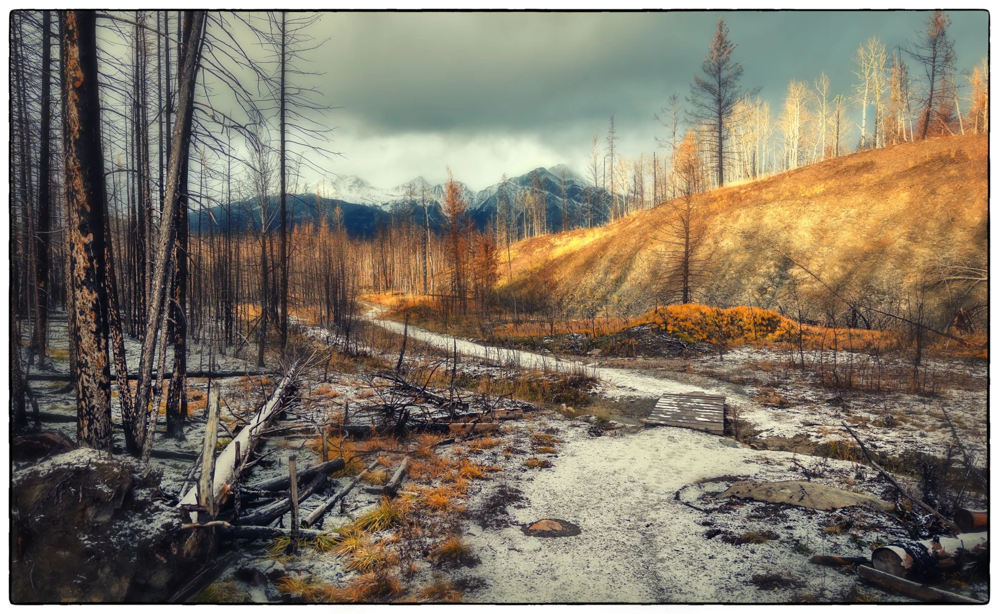 Old Fort Hike through the burnt forest