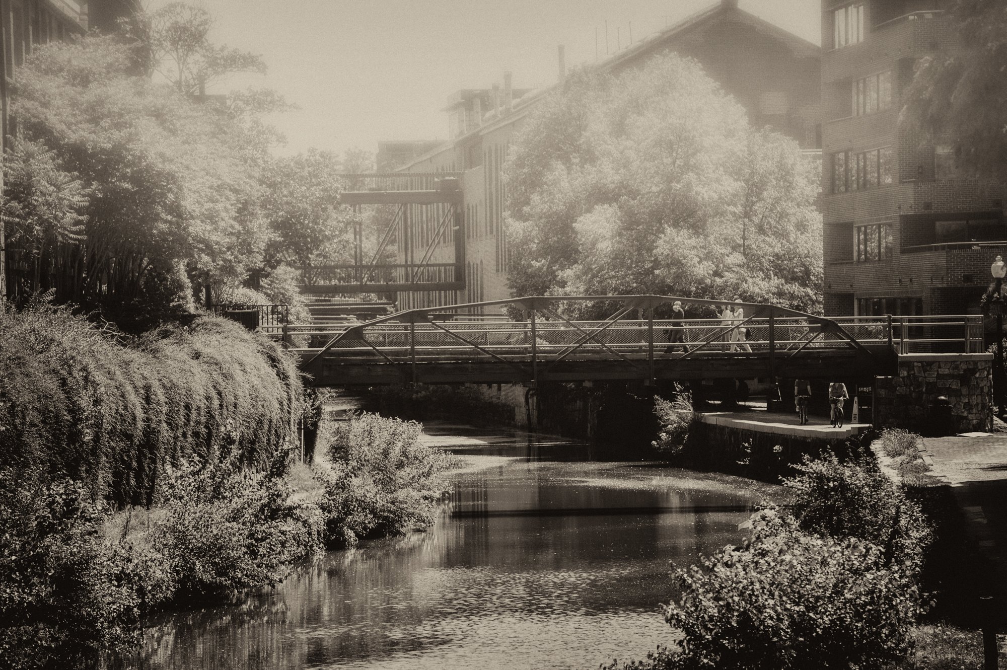 Walking the  Georgetown.