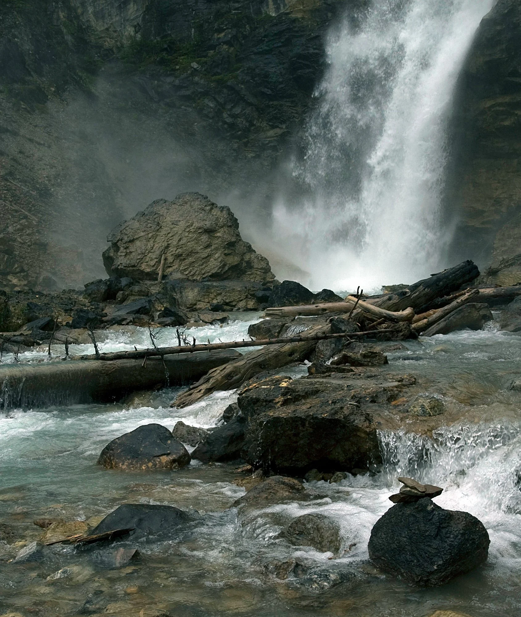 2009_yoho_09.jpg