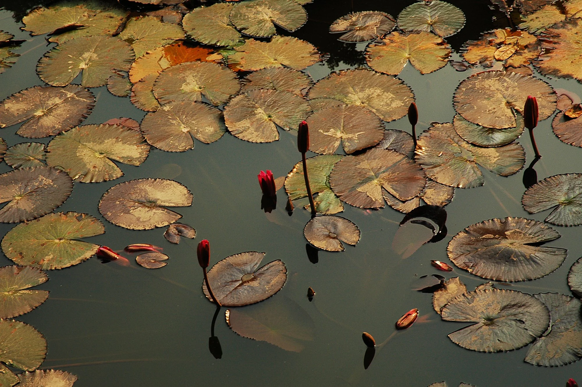 2008_hanoi_03.jpg