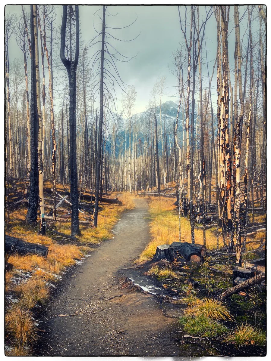 Old Fort Hike