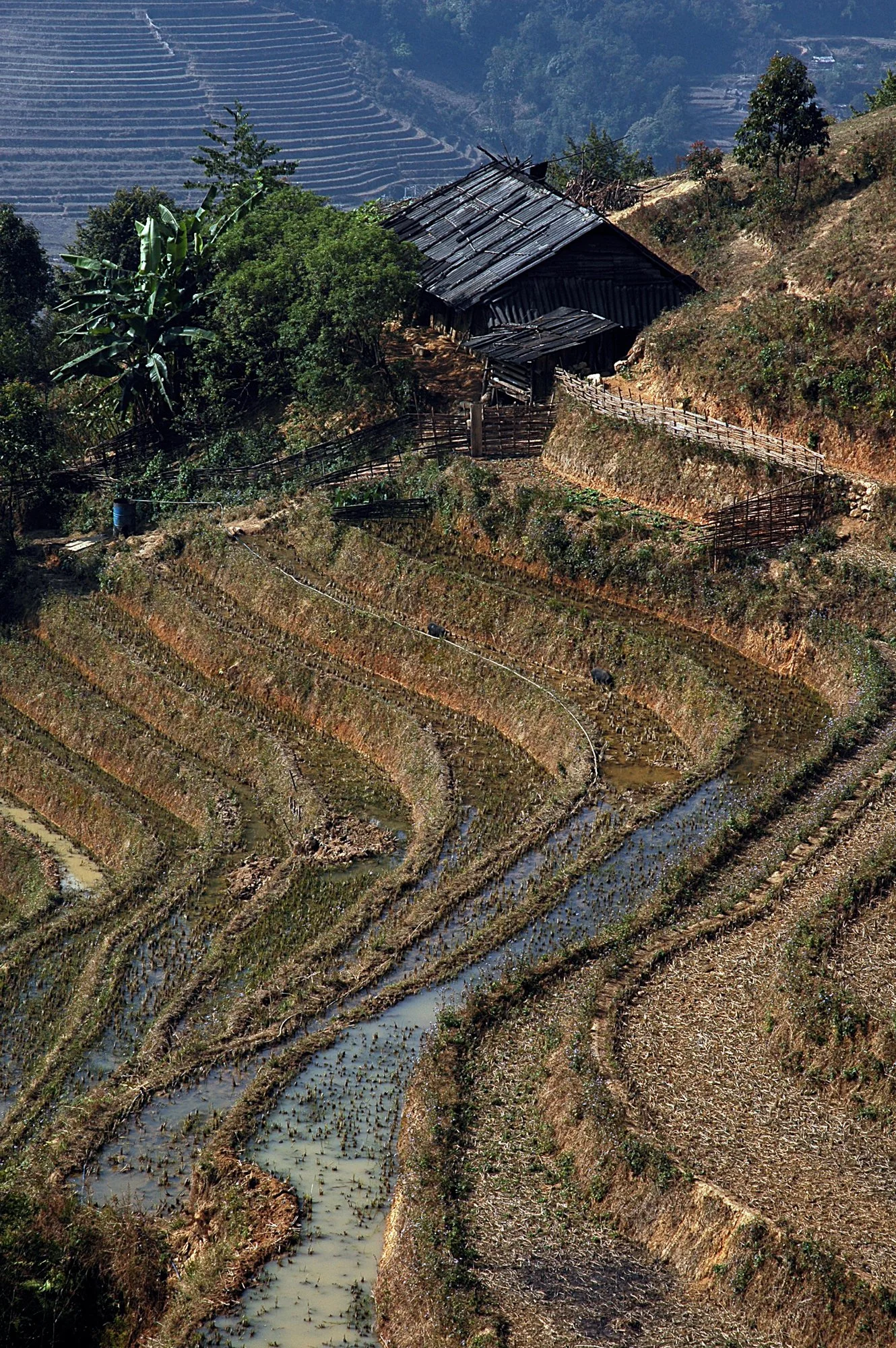 2008_sapa_12.jpg
