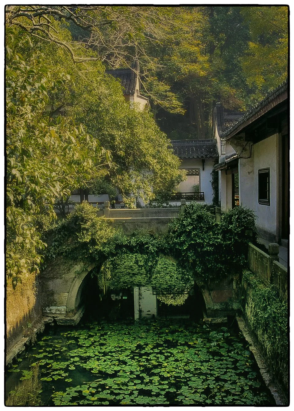 2004_china_32.jpg