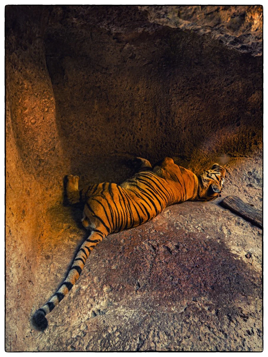 JDQU6239-Recovered.jpg