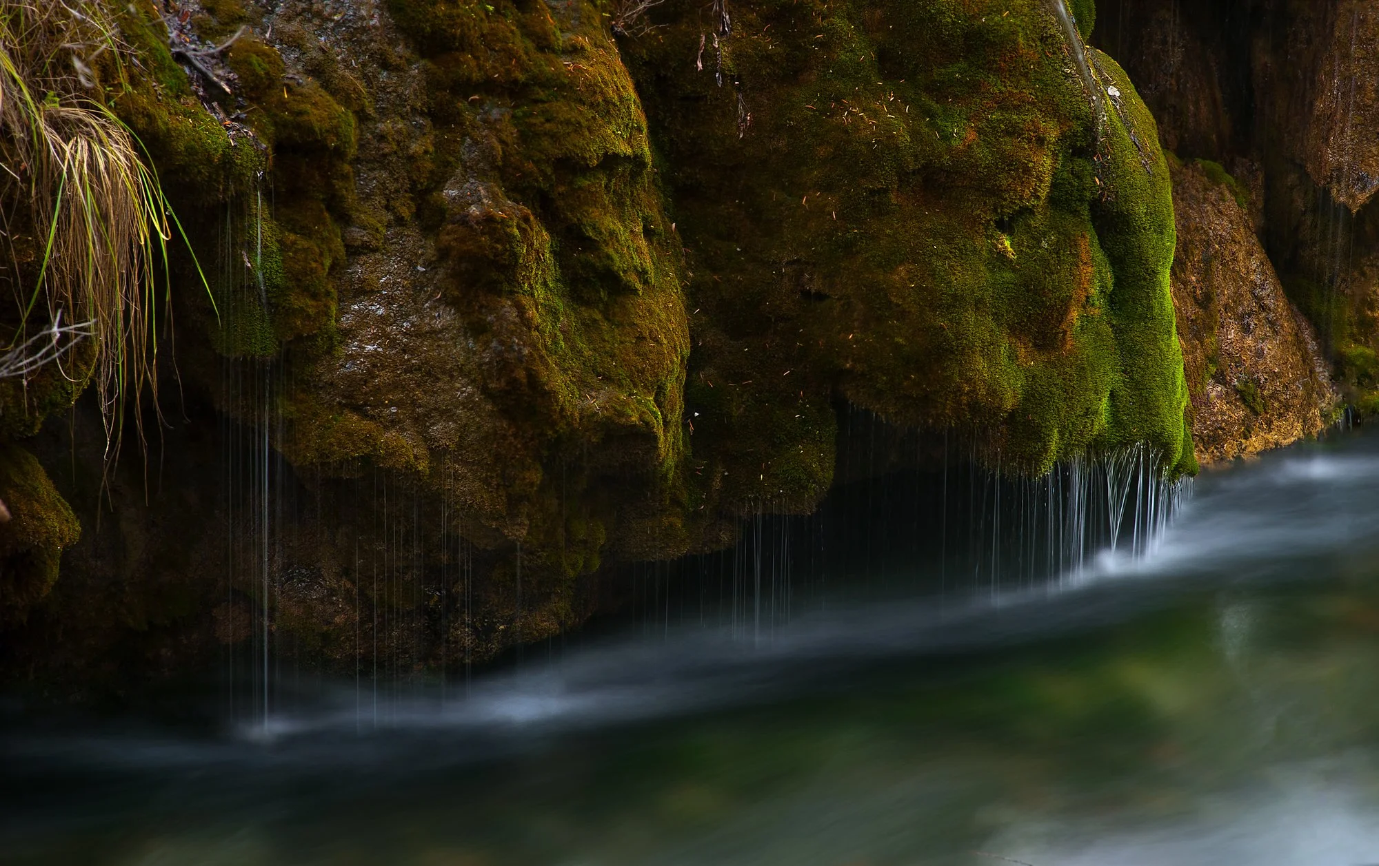 2011_china_jiuzhaigou_12.jpg
