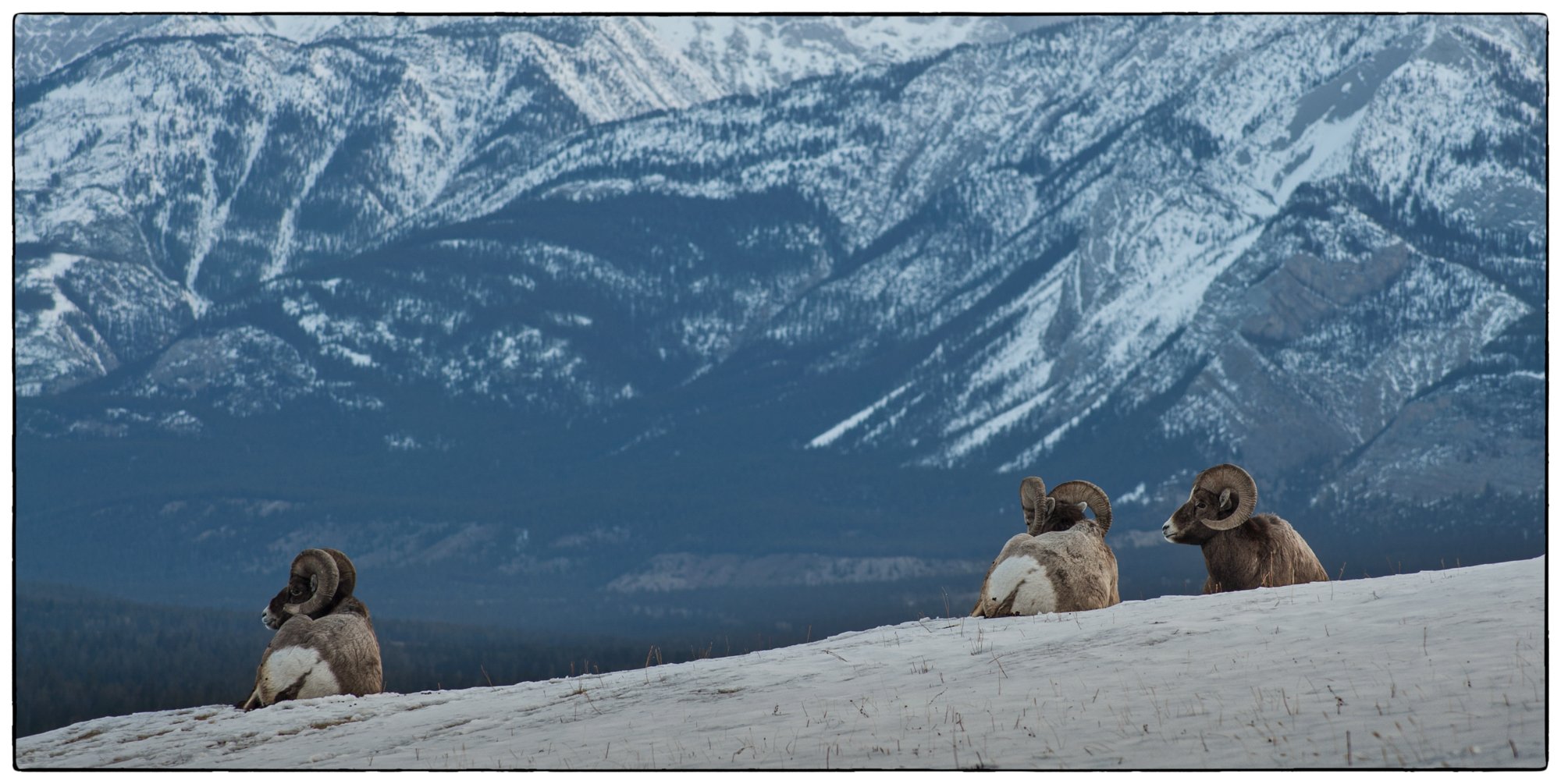 2012_jasper_15.jpg