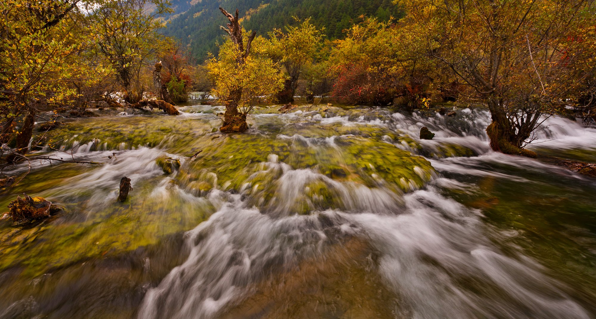 2011_china_jiuzhaigou_05.jpg