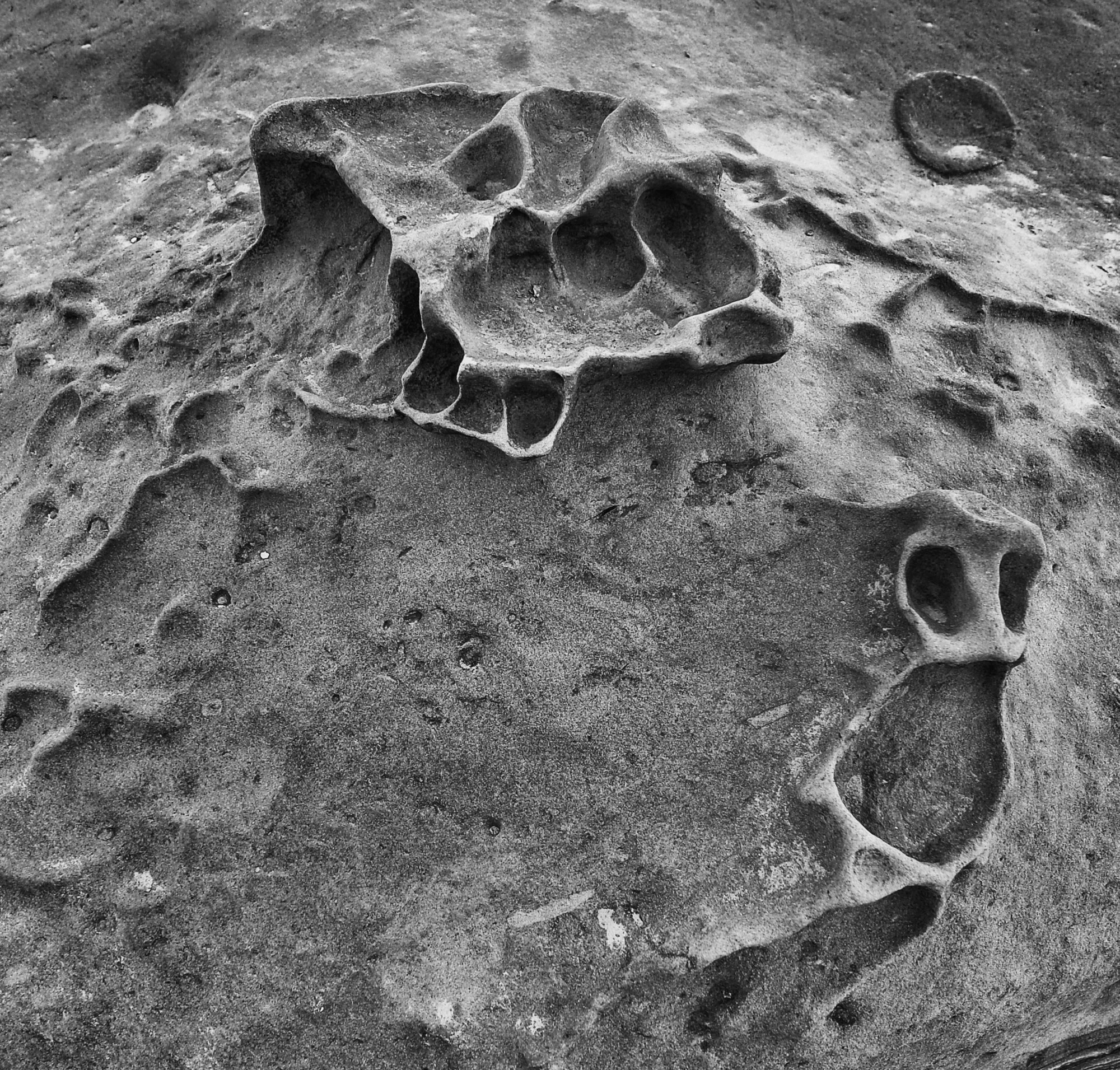 Yehliu Geopark. Detail.