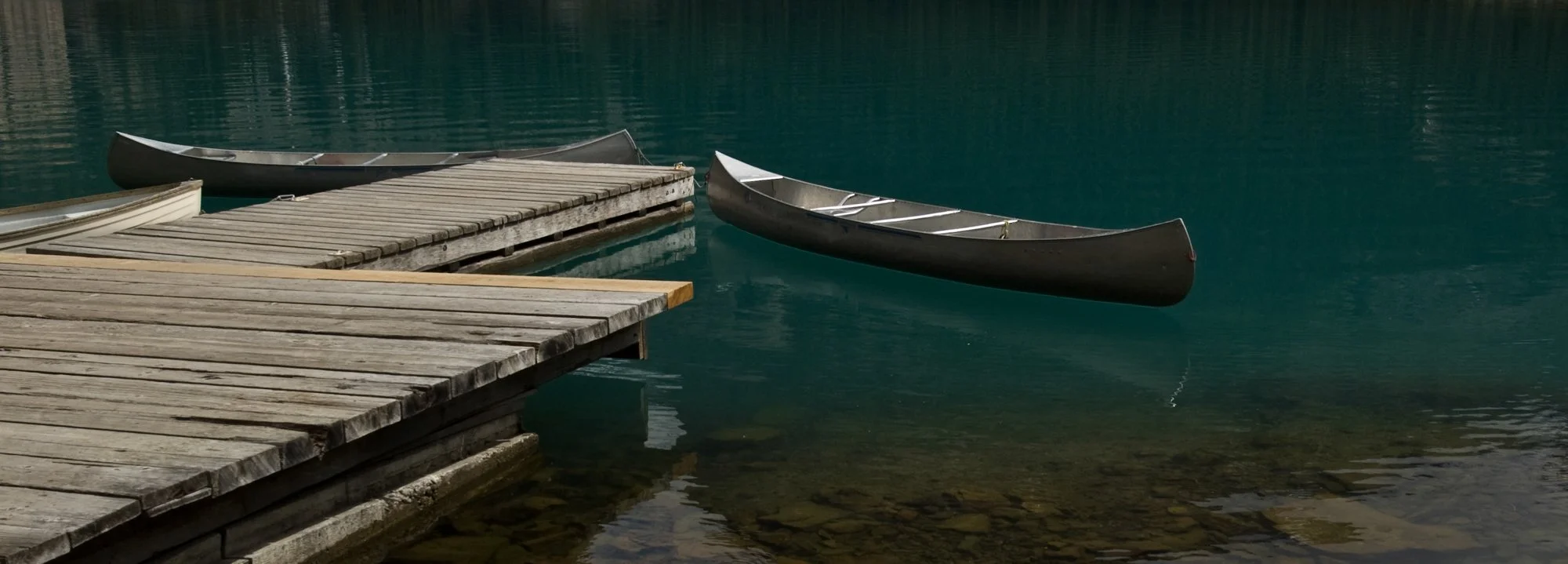 2009_yoho_25.jpg