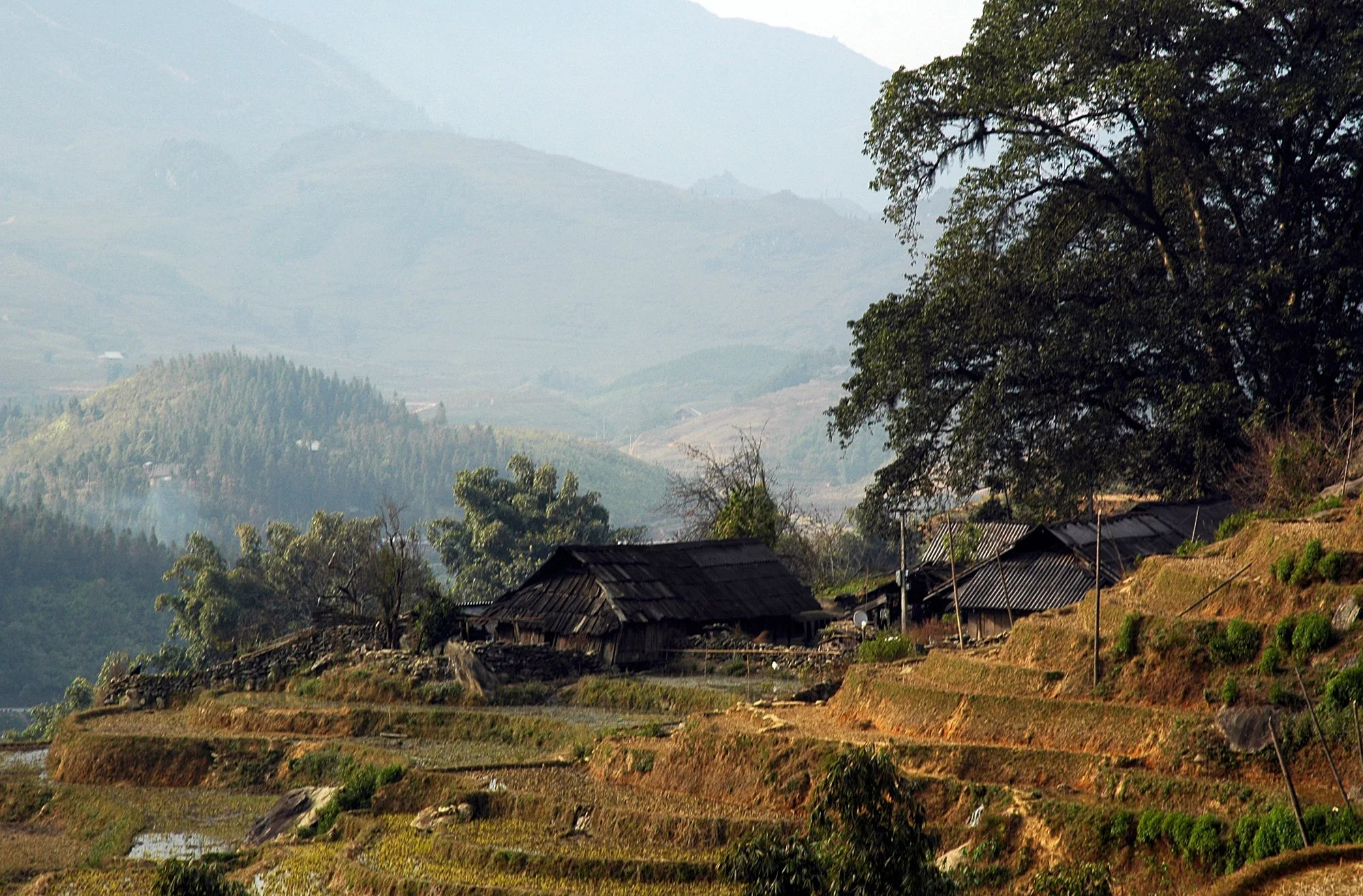 2008_sapa_34.jpg