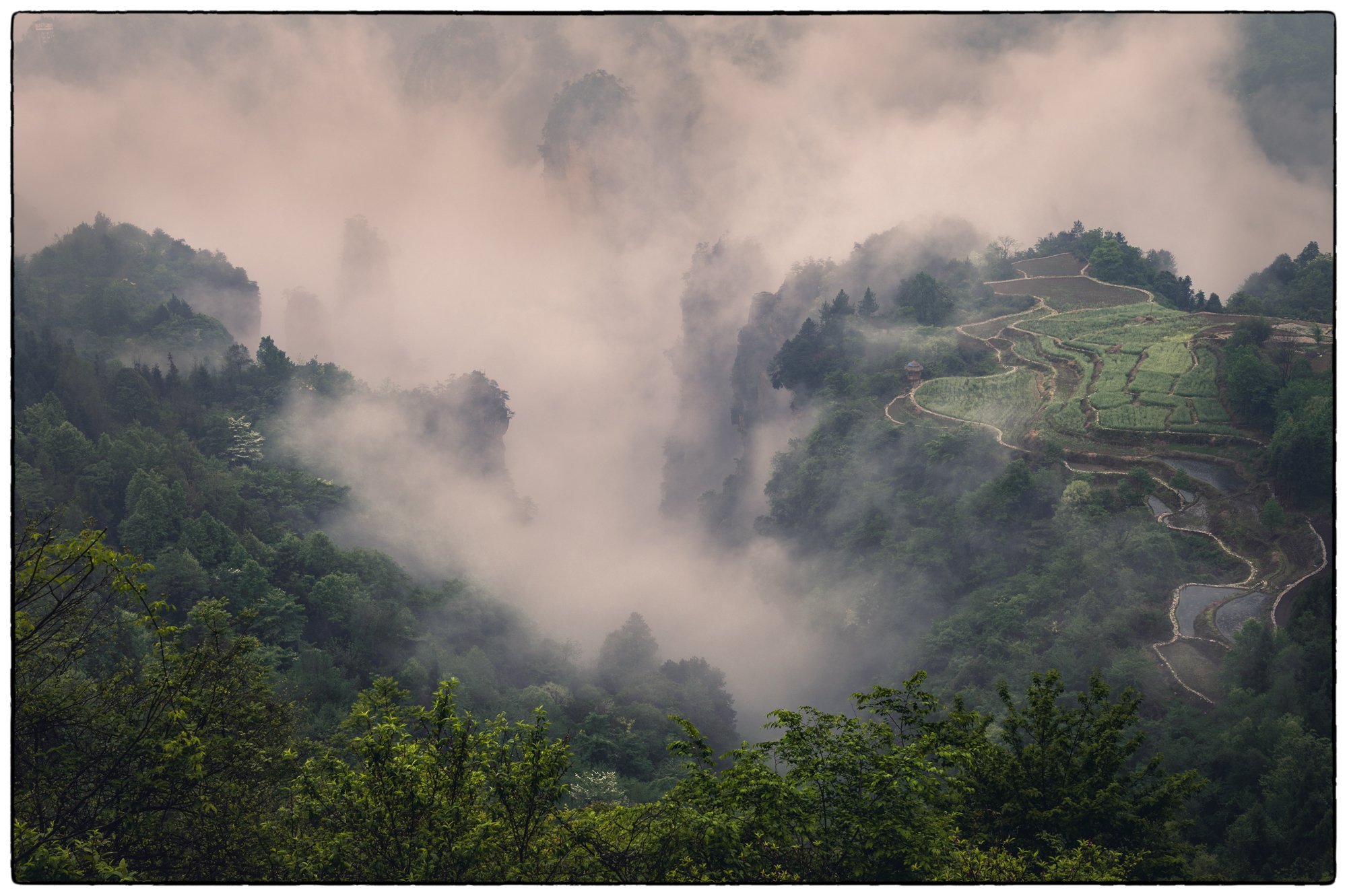 Project_20250419_0009.jpg