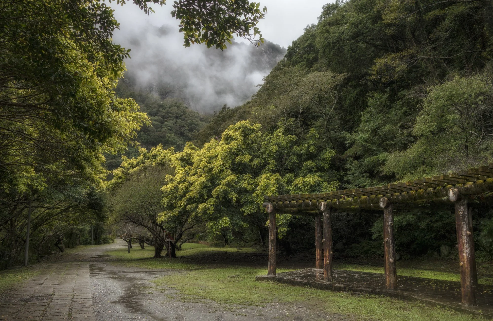 Beautiful and peaceful place just above the busy main road.