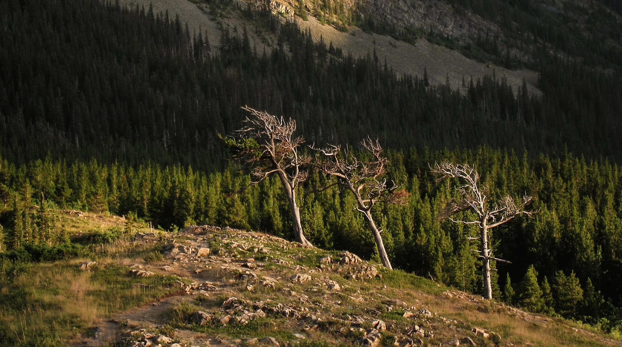 Project_20130727_0026.jpg