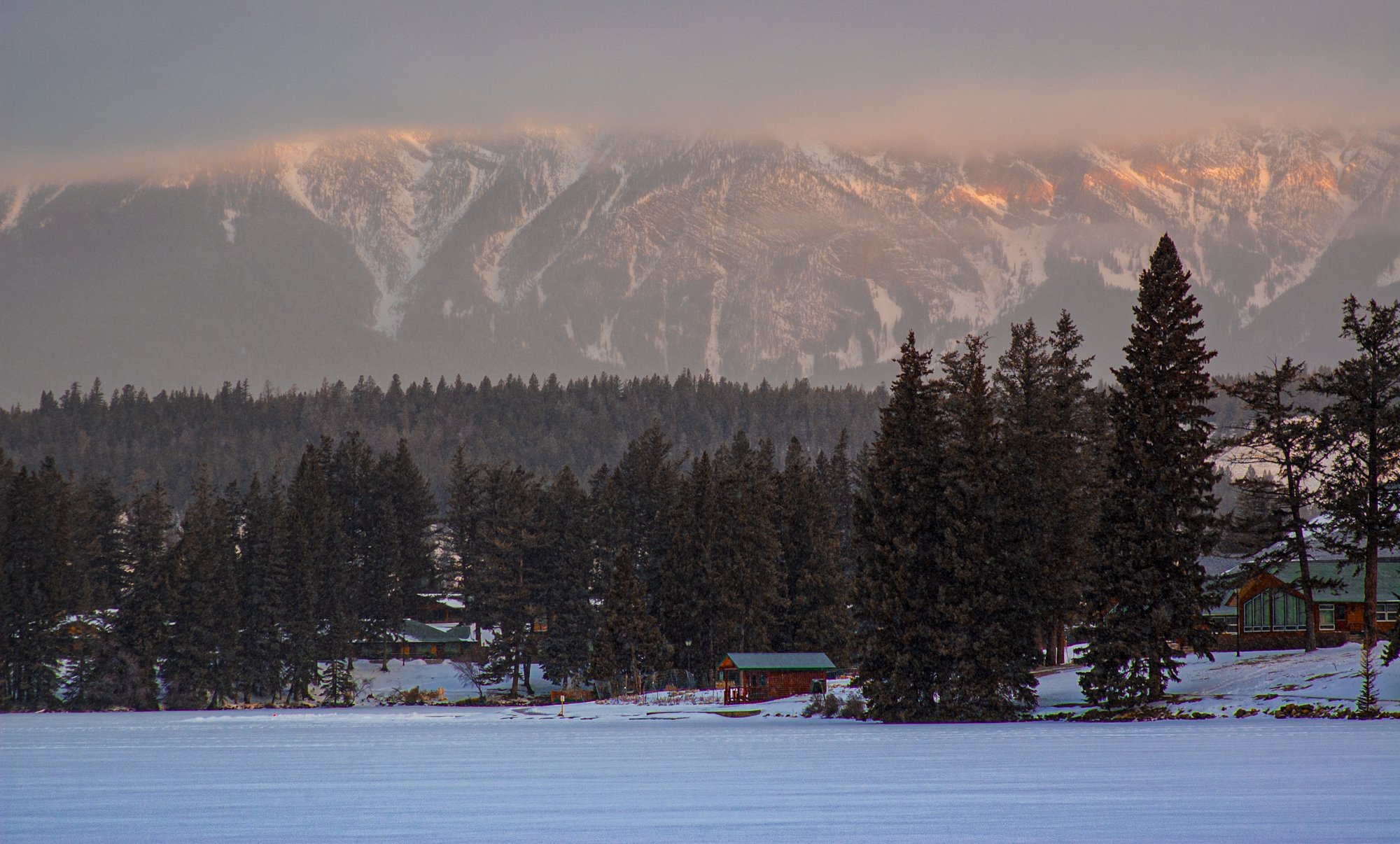 2009_jasper_02.jpg