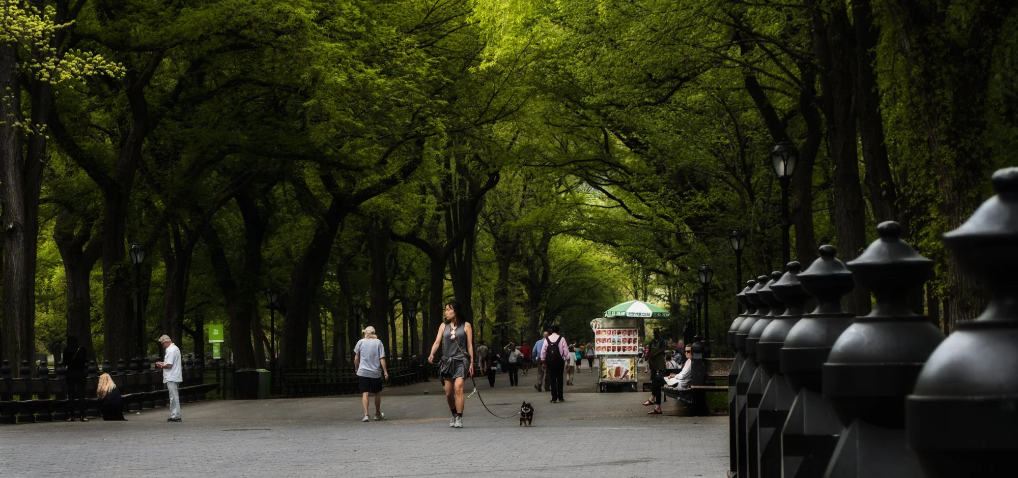 Central Park.