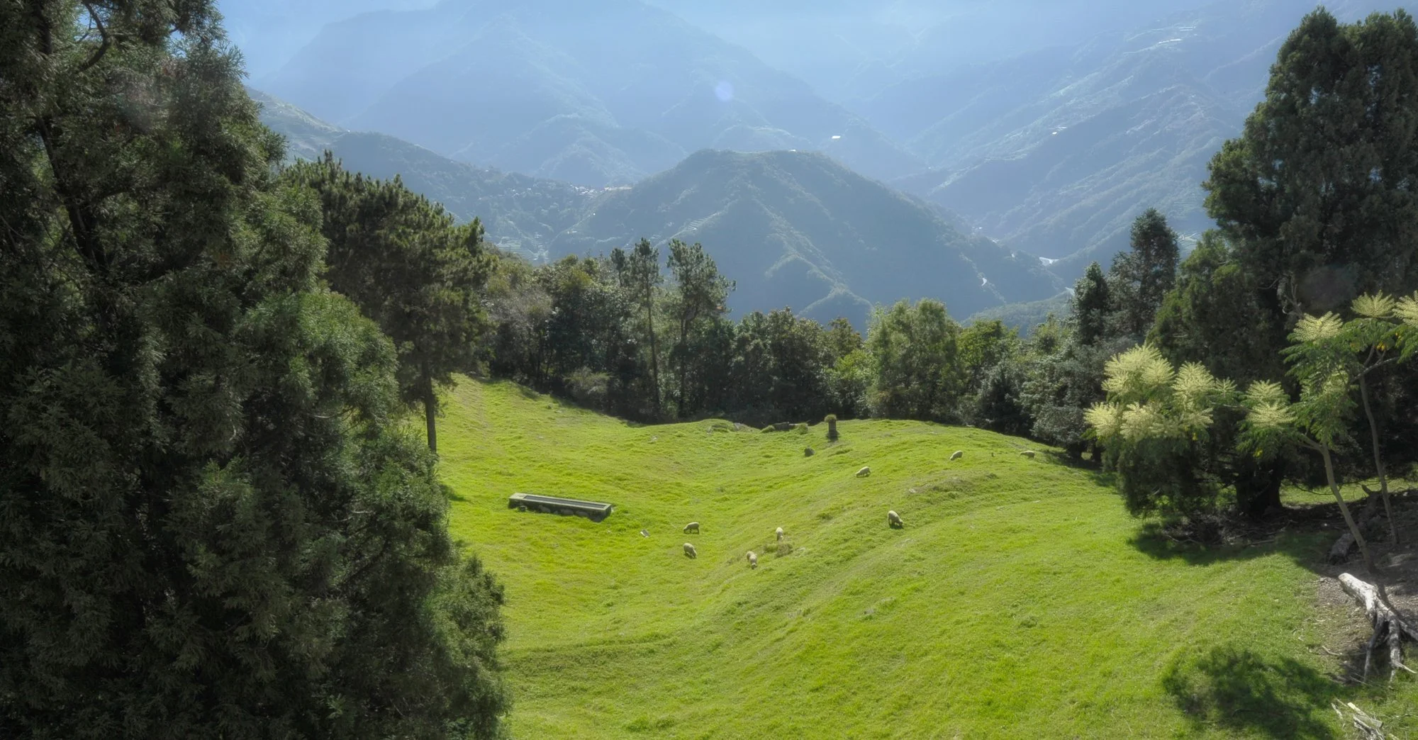 Qingjing Farm.
