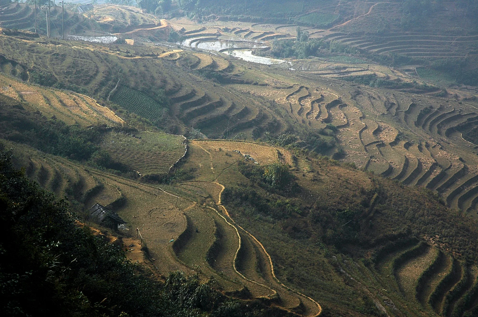 2008_sapa_07.jpg