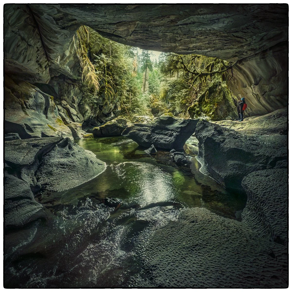 vancouver_island_82.jpg