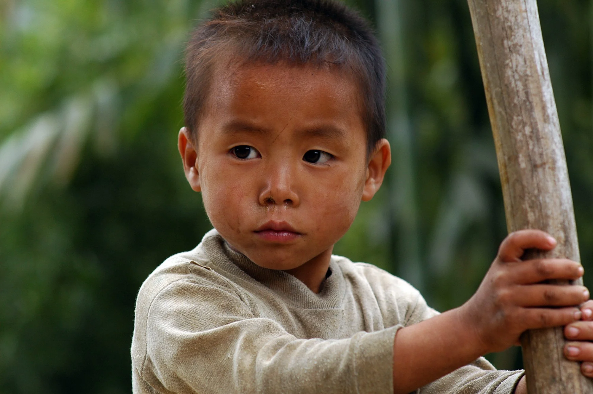 2008_sapa_06.jpg