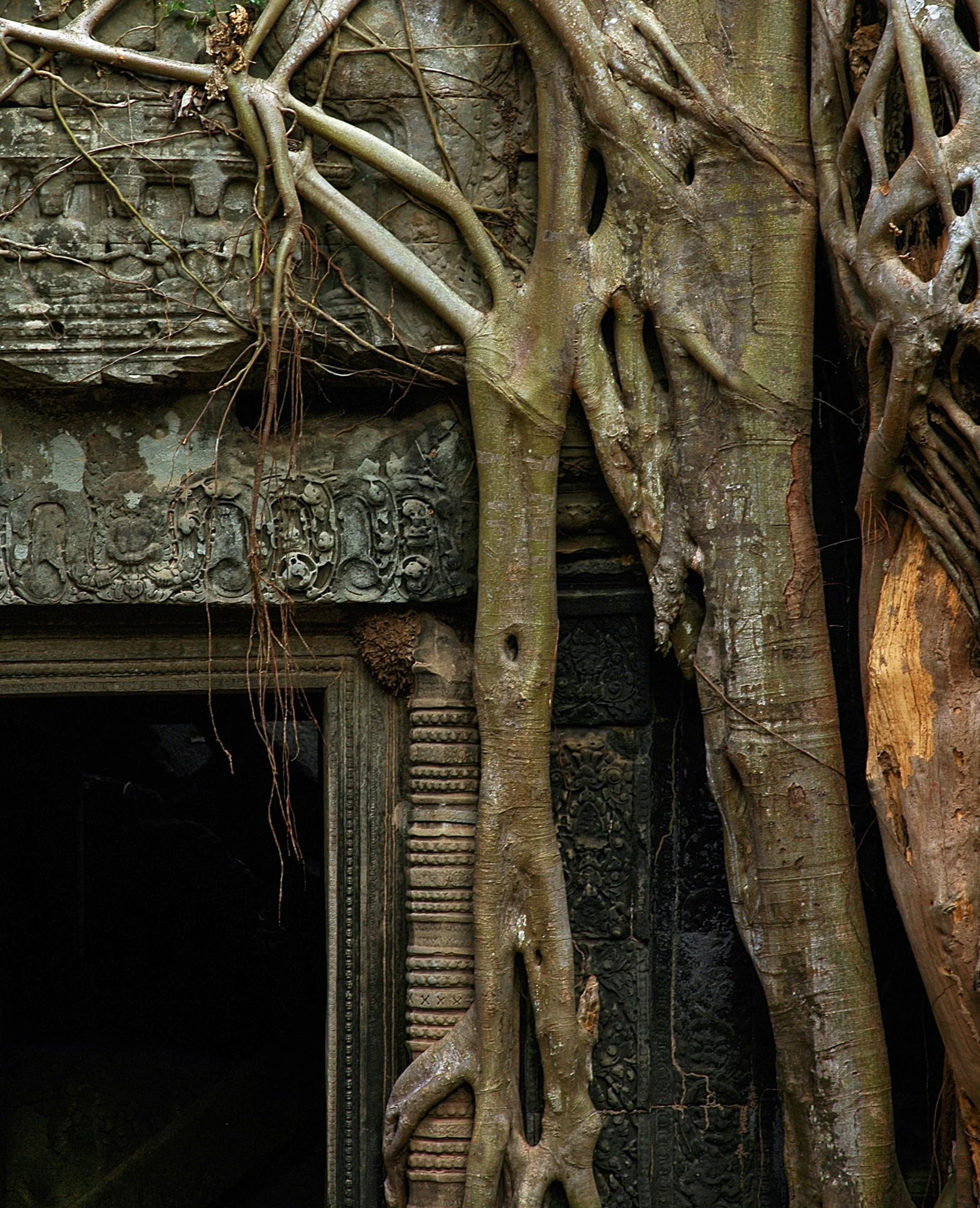 2008_siemreap_12.jpg
