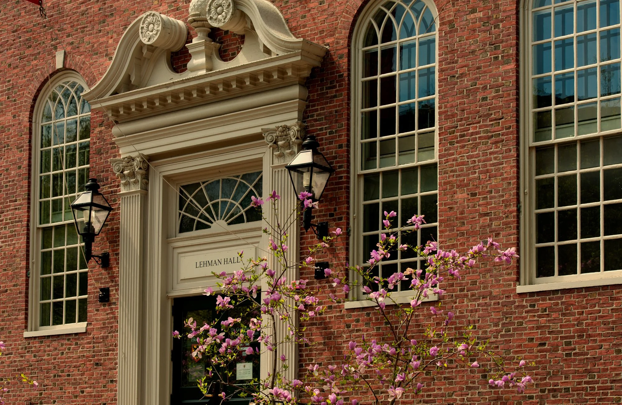 Harvard University grounds.
