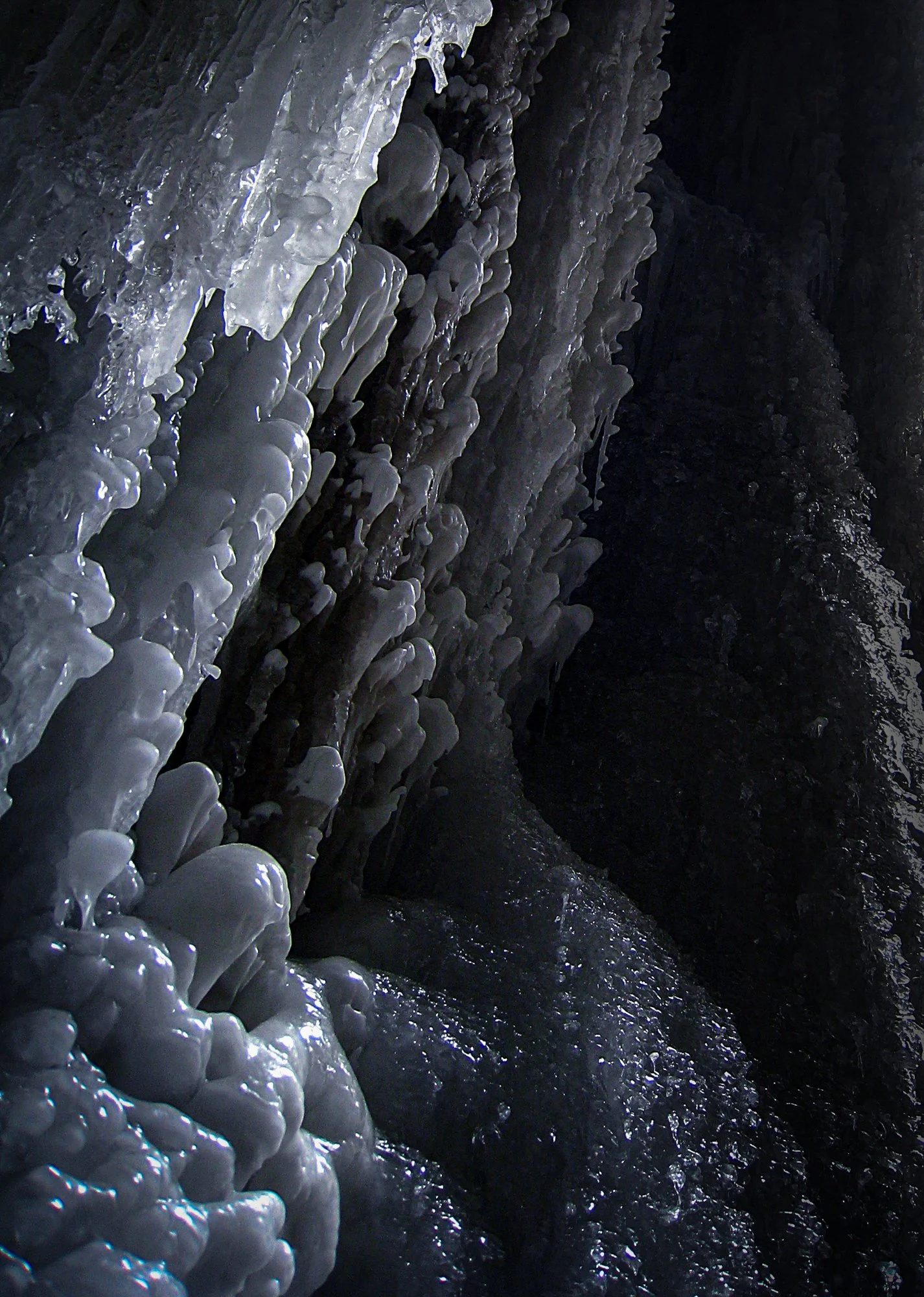 2009_jasper_17.jpg