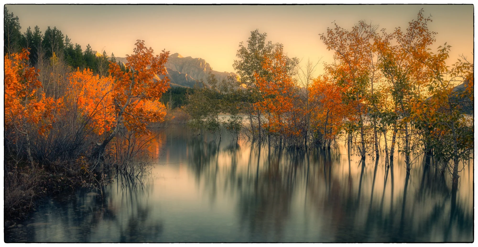 Along the David Thompson highway. Abraham Lake.